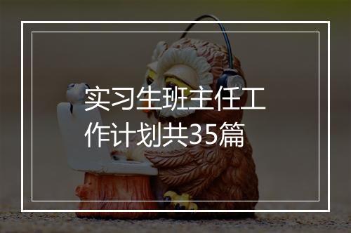 实习生班主任工作计划共35篇