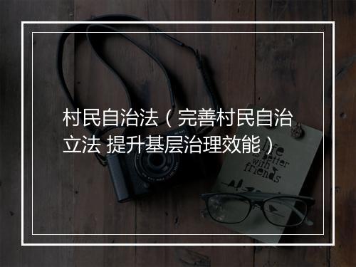 村民自治法（完善村民自治立法 提升基层治理效能）