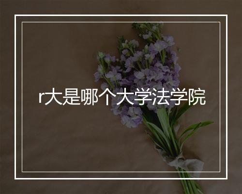 r大是哪个大学法学院