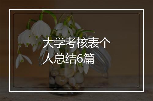 大学考核表个人总结6篇
