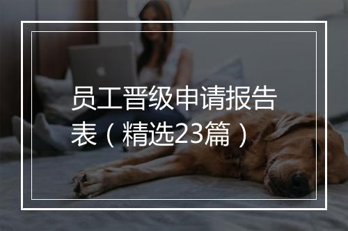 员工晋级申请报告表（精选23篇）
