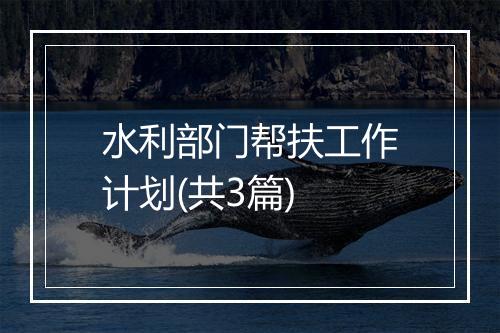水利部门帮扶工作计划(共3篇)