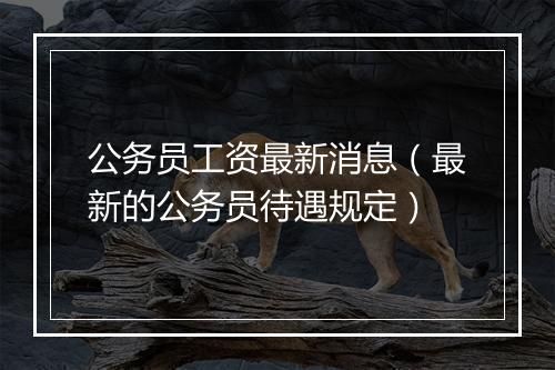公务员工资最新消息（最新的公务员待遇规定）