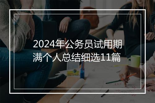 2024年公务员试用期满个人总结细选11篇