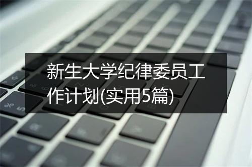 新生大学纪律委员工作计划(实用5篇)