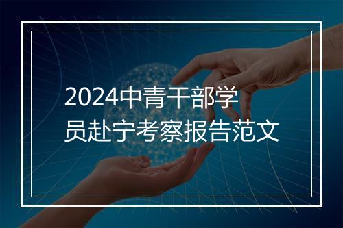 2024中青干部学员赴宁考察报告范文