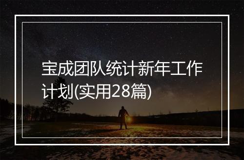 宝成团队统计新年工作计划(实用28篇)