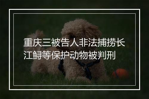 重庆三被告人非法捕捞长江鲟等保护动物被判刑