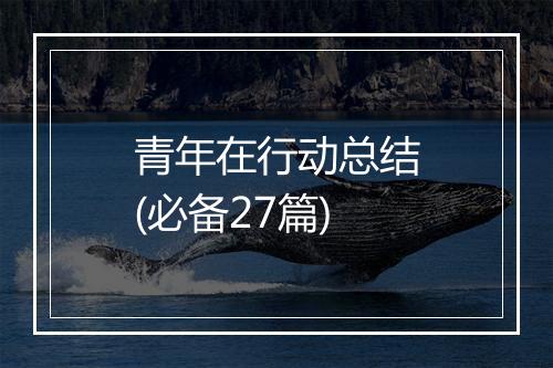 青年在行动总结(必备27篇)