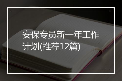 安保专员新一年工作计划(推荐12篇)