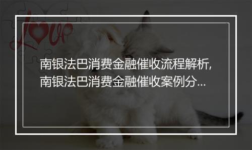 南银法巴消费金融催收流程解析,南银法巴消费金融催收案例分享