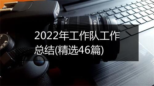2022年工作队工作总结(精选46篇)