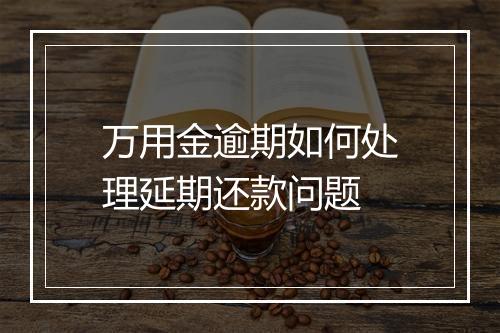 万用金逾期如何处理延期还款问题