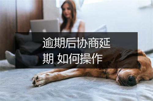 逾期后协商延期 如何操作