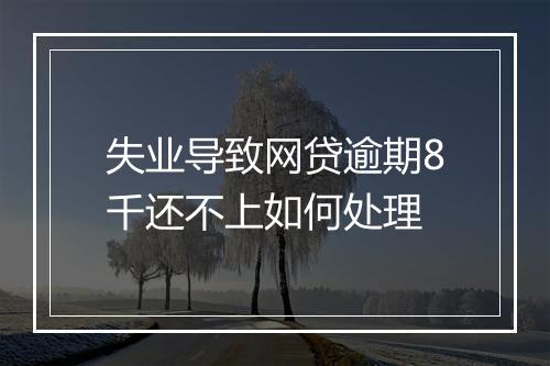 失业导致网贷逾期8千还不上如何处理