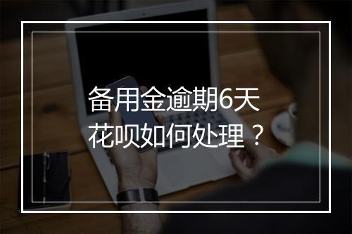 备用金逾期6天花呗如何处理？