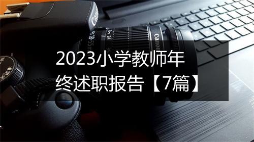 2023小学教师年终述职报告【7篇】