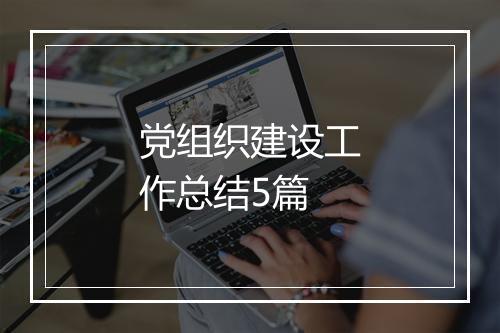 党组织建设工作总结5篇