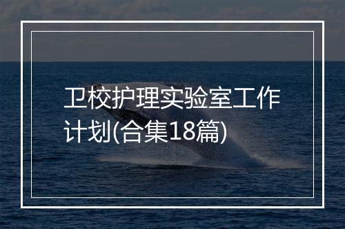 卫校护理实验室工作计划(合集18篇)