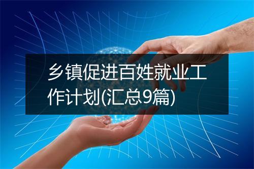 乡镇促进百姓就业工作计划(汇总9篇)
