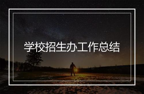 学校招生办工作总结