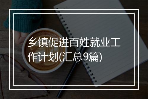 乡镇促进百姓就业工作计划(汇总9篇)