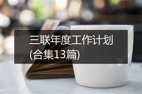 三联年度工作计划(合集13篇)
