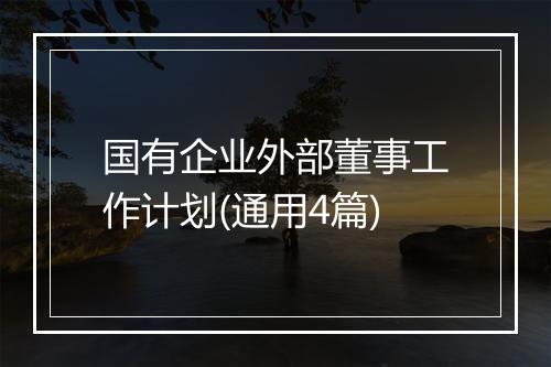 国有企业外部董事工作计划(通用4篇)