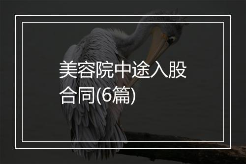 美容院中途入股合同(6篇)