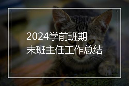 2024学前班期末班主任工作总结