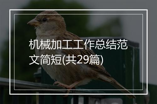 机械加工工作总结范文简短(共29篇)