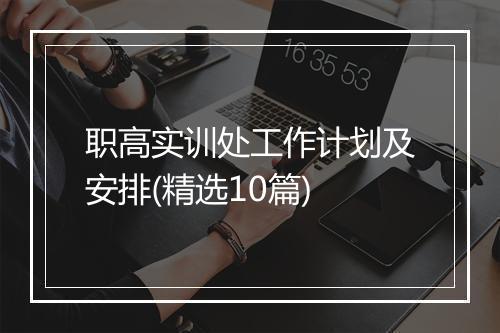 职高实训处工作计划及安排(精选10篇)