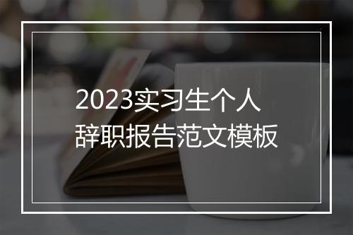 2023实习生个人辞职报告范文模板