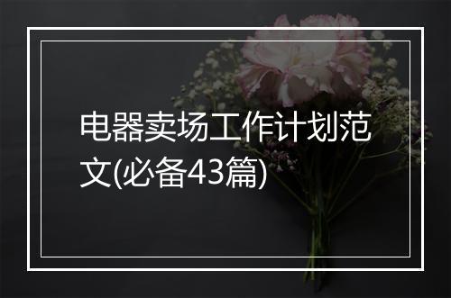 电器卖场工作计划范文(必备43篇)