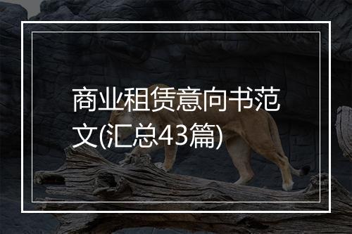 商业租赁意向书范文(汇总43篇)