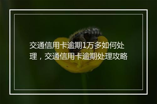 交通信用卡逾期1万多如何处理，交通信用卡逾期处理攻略