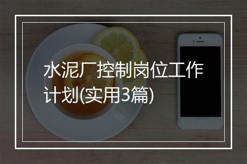 水泥厂控制岗位工作计划(实用3篇)