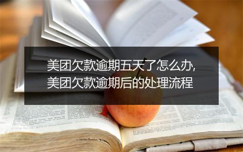 美团欠款逾期五天了怎么办,美团欠款逾期后的处理流程