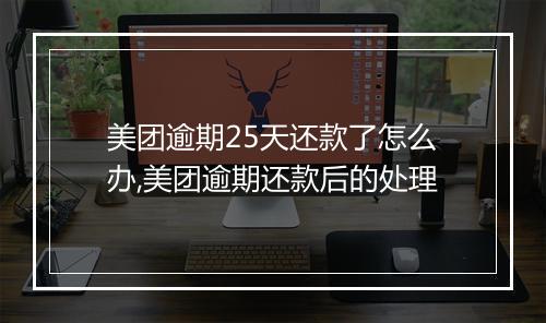 美团逾期25天还款了怎么办,美团逾期还款后的处理