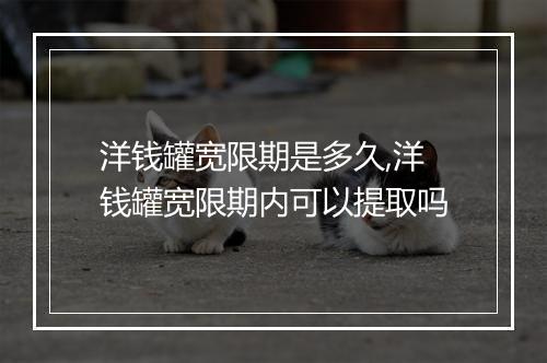 洋钱罐宽限期是多久,洋钱罐宽限期内可以提取吗