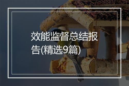 效能监督总结报告(精选9篇)