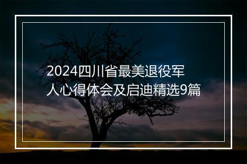 2024四川省最美退役军人心得体会及启迪精选9篇