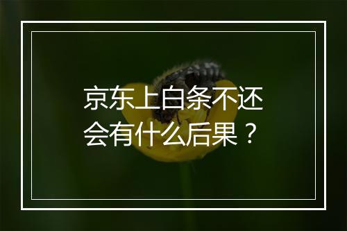 京东上白条不还会有什么后果？