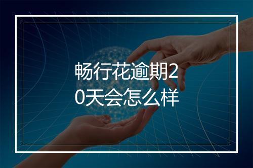 畅行花逾期20天会怎么样