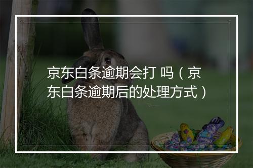 京东白条逾期会打 吗（京东白条逾期后的处理方式）