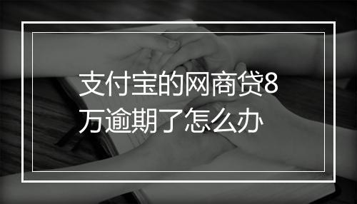 支付宝的网商贷8万逾期了怎么办