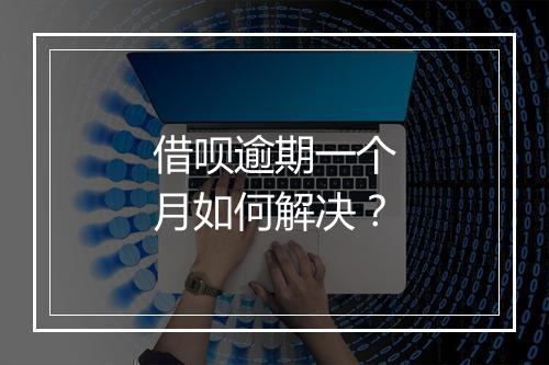 借呗逾期一个月如何解决？