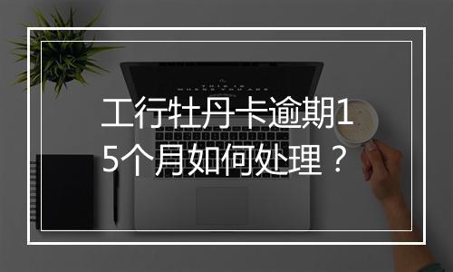 工行牡丹卡逾期15个月如何处理？