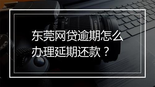 东莞网贷逾期怎么办理延期还款？
