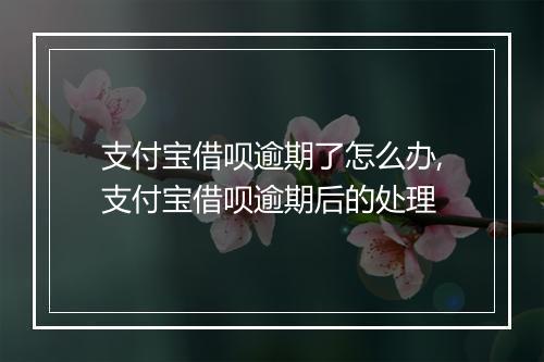 支付宝借呗逾期了怎么办,支付宝借呗逾期后的处理